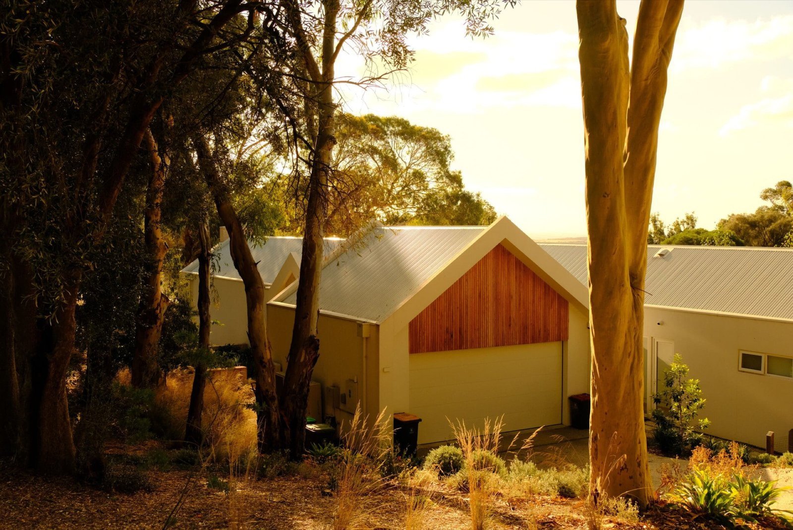 Close-up of timber grain on a freshly planed hardwood beam