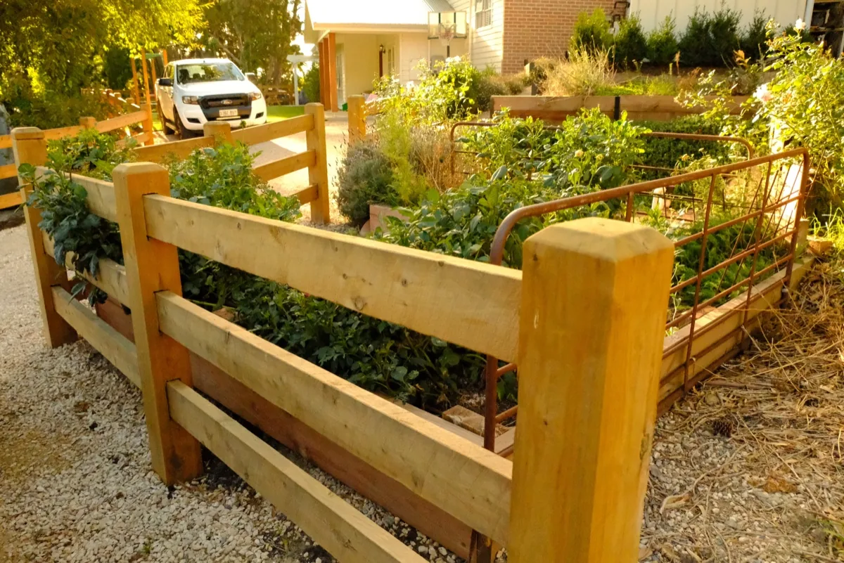 Custom timber boundary fence in Willunga, Adelaide
