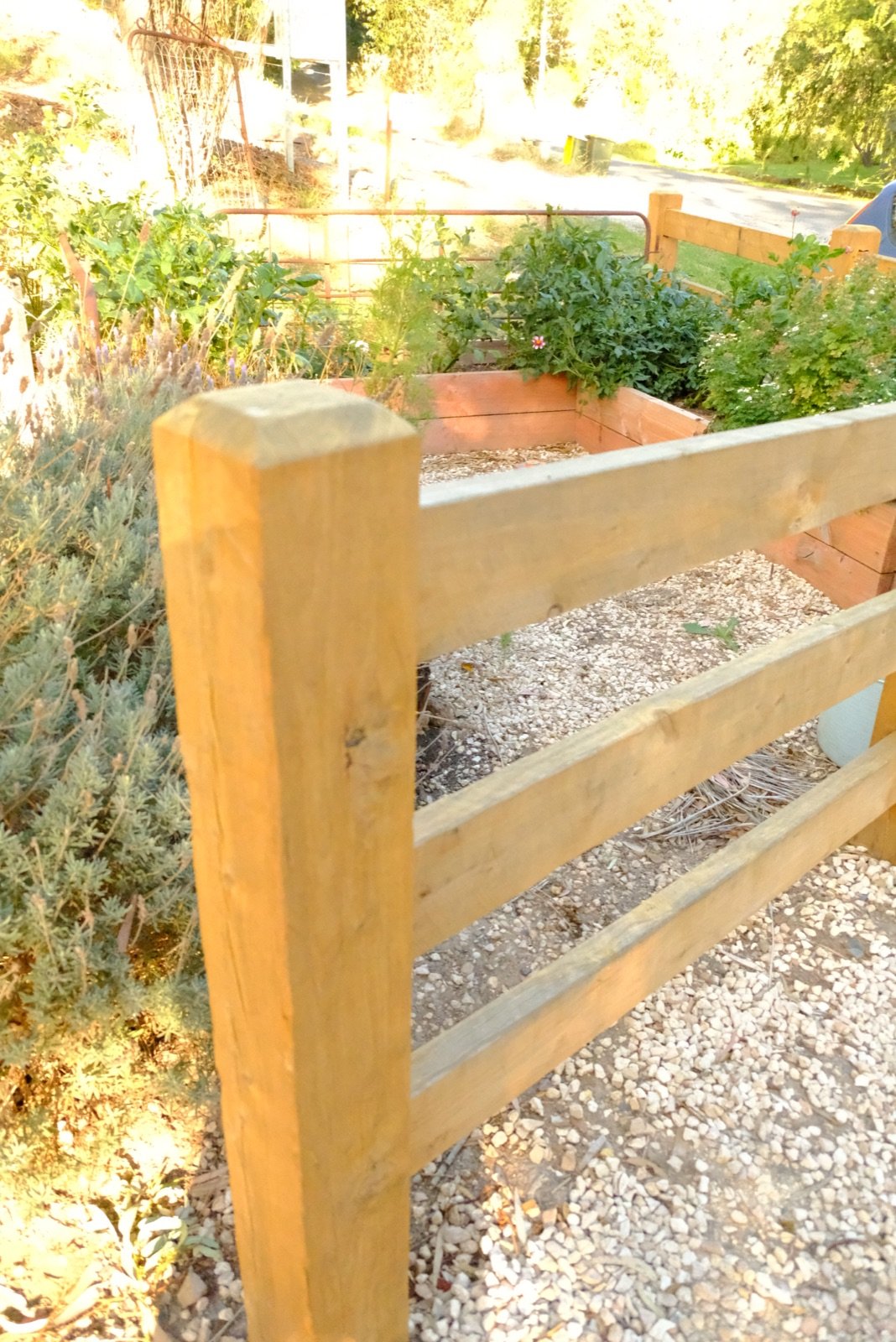 Close-up of natural timber finish